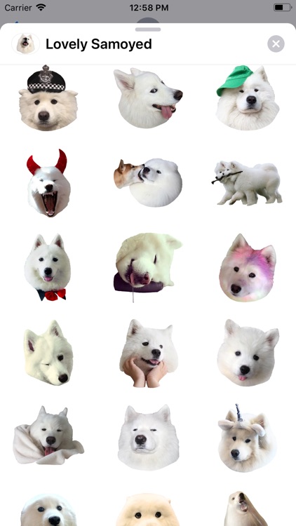 Lovely Samoyed Sticker Pack