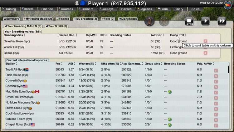 Starters Orders 7 Horse Racing screenshot-6