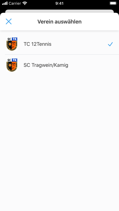 12tennis Screenshot