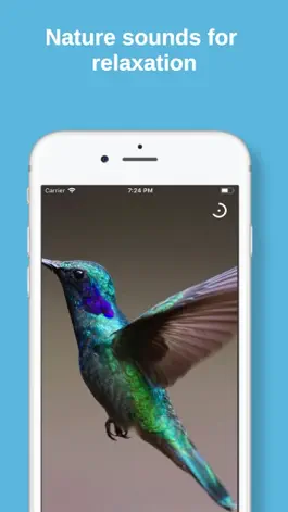 Game screenshot 432 Hz relaxation apk