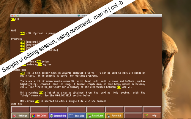 ACTerm(圖2)-速報App