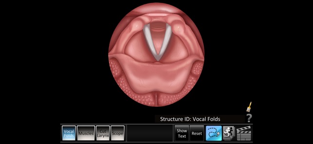 Vocal Folds ID on the App Store