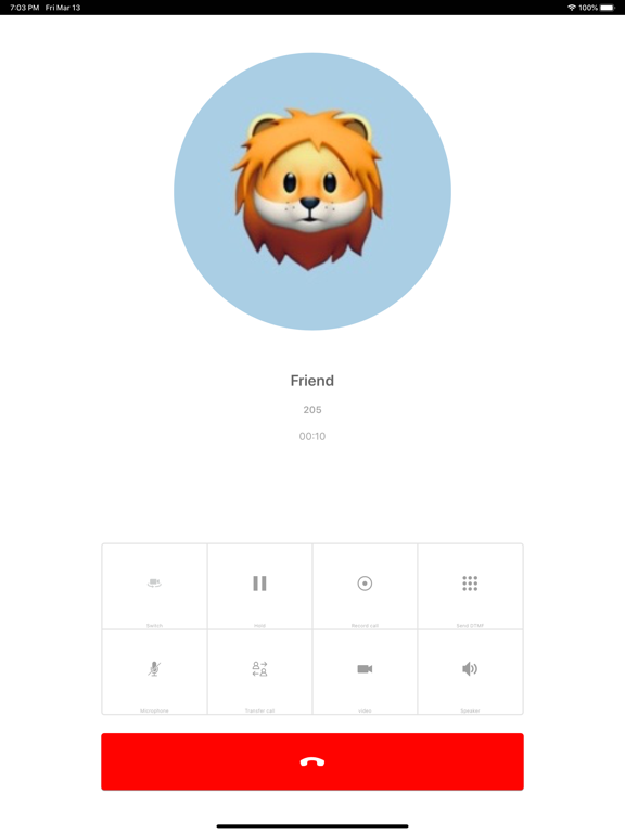 Netcyber VOIP Softphone iPad screenshot 3 - Business app