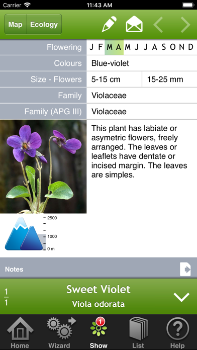 Wild-flowers Screenshot