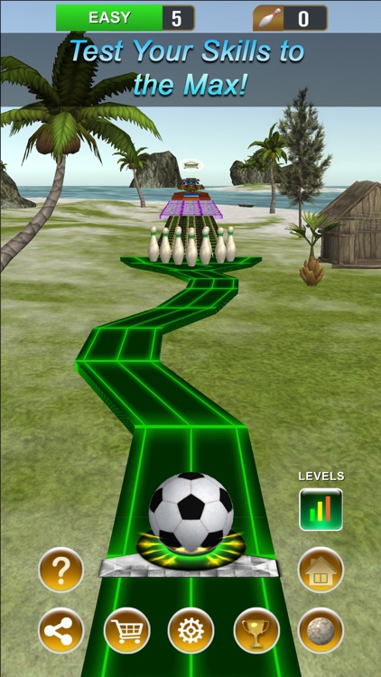 Amazing Bowling Paradise screenshot-3