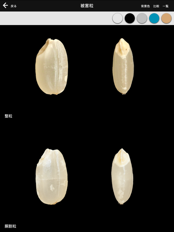 農産物検査標準品等 米穀のおすすめ画像4