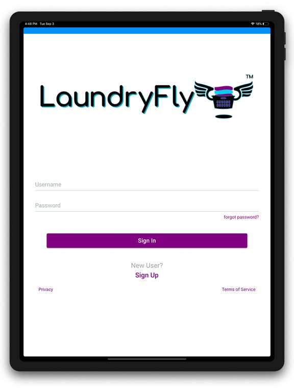 Laundry Fly