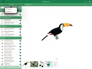Birds of Brazil ipad bilder 3