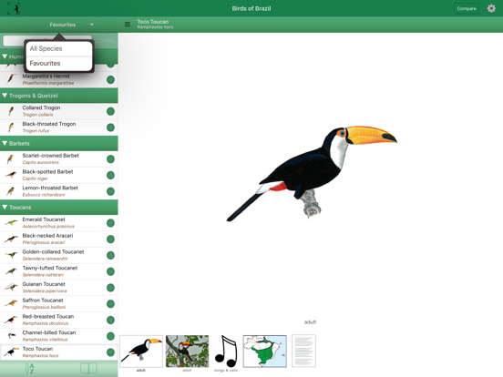Birds of Brazilのおすすめ画像4