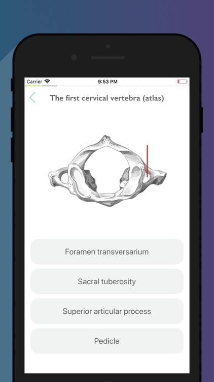 Easy Anatomy - Atlas & Quizzes screenshot-9