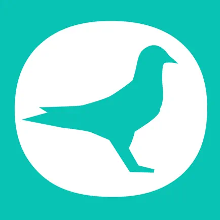 TOPigeon Express Читы