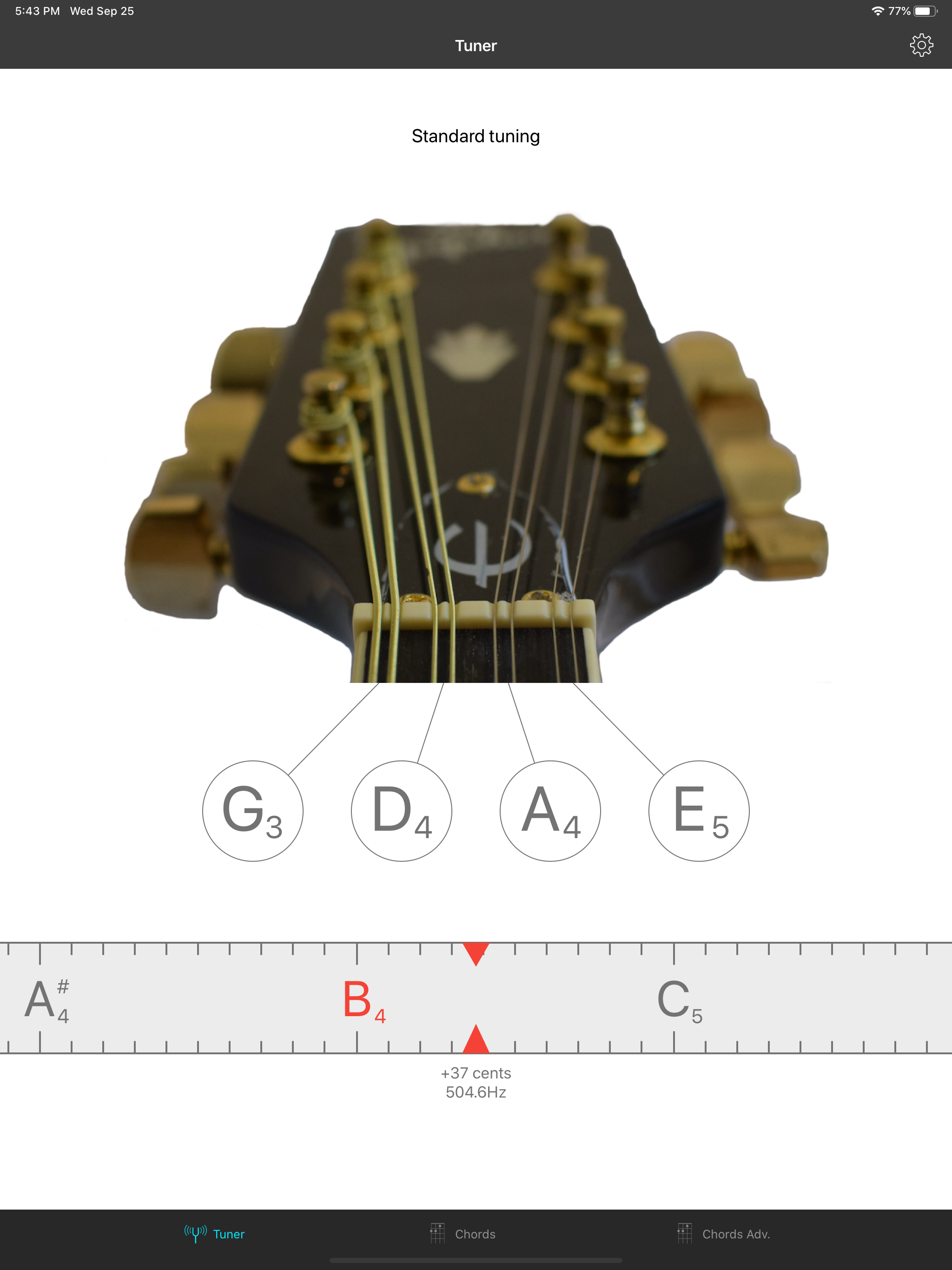 Mandolin Tuner EM-1
