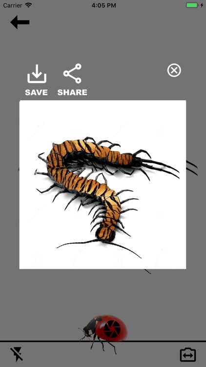 FancyBugz screenshot-3