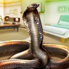 Venom Cobra Snake Simulator - iPhoneアプリ