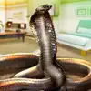 Venom Cobra Snake Simulator contact information
