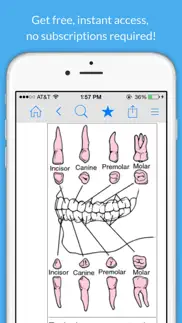 dental dictionary by farlex iphone screenshot 3