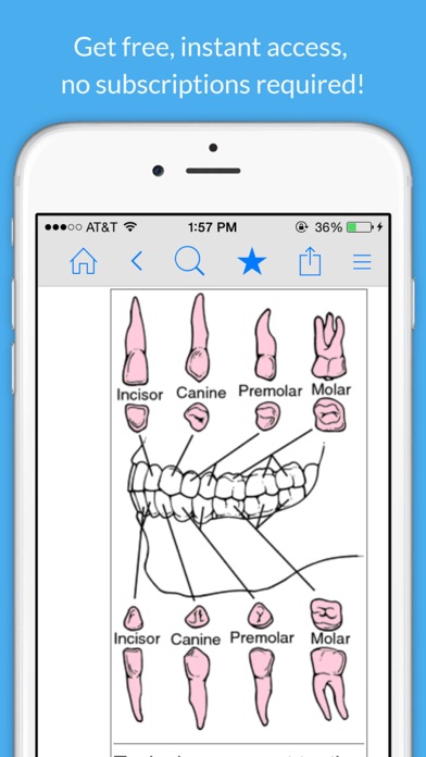 Screenshot #3 pour Dental Dictionary by Farlex