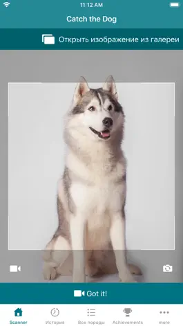 Game screenshot Dog Scanner mod apk