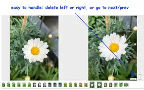 smartphotosort iphone bildschirmfoto 2