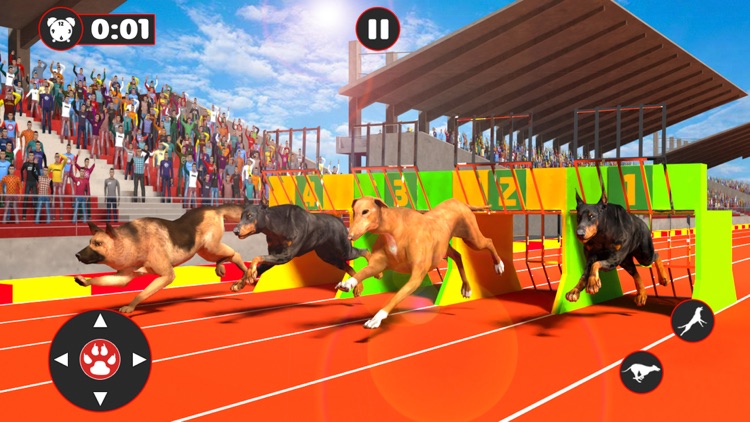 Greyhound Dog Racing Derby