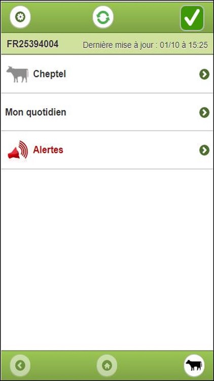 SynestApp