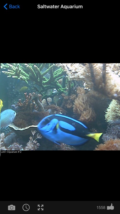 Web Camera Online: Live Cams