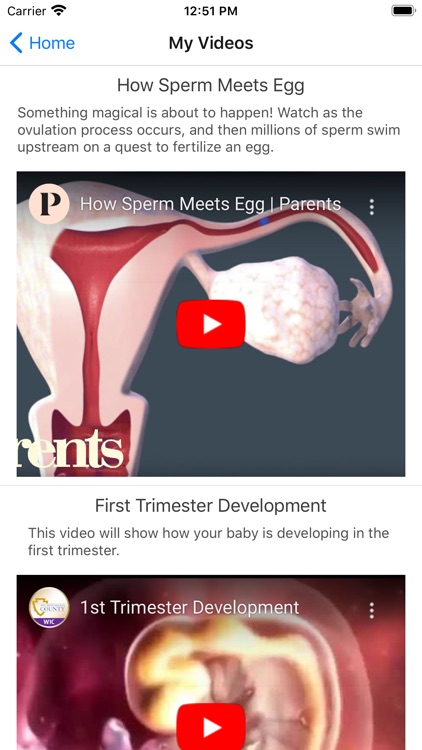 My Saskatchewan Pregnancy screenshot-6