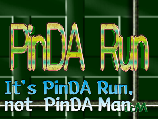 PinDA Run iPad screenshot