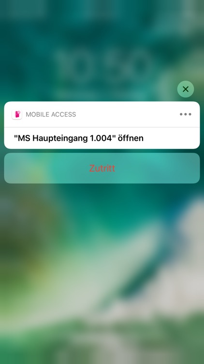 mobile Access screenshot-5