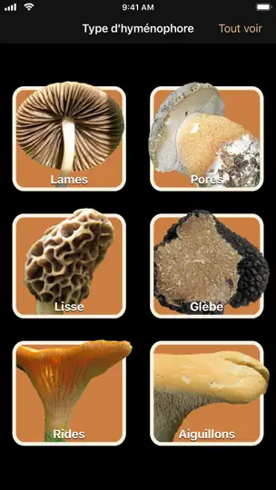 Capture d'écran de Champignons sur iPhone 1