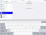 USB Disk SE, File Manager ipad bilder 2