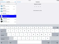 USB Disk SE, File Manager iPad image 3