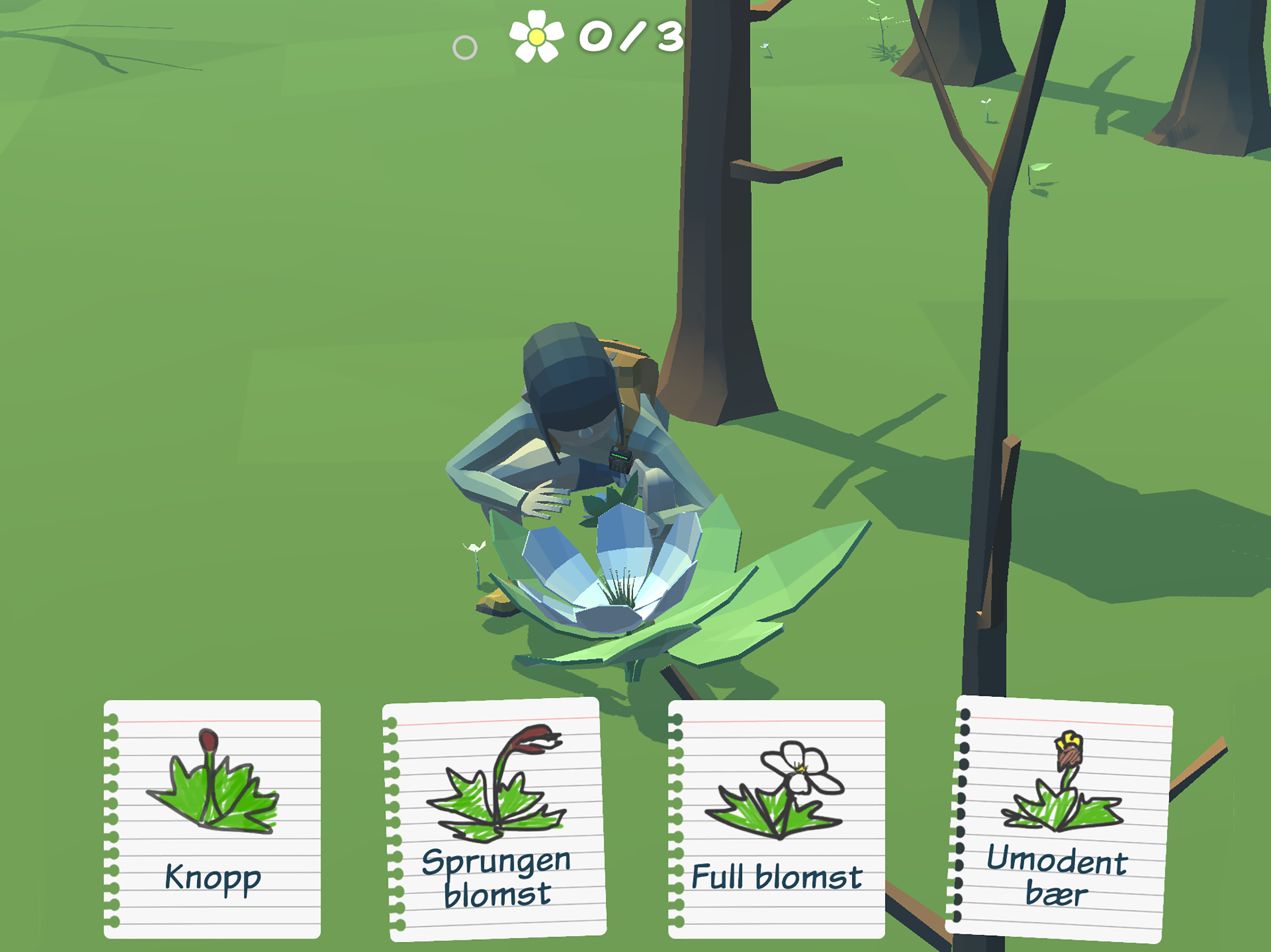 Svanhovd screenshot 9