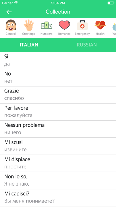 Screenshot #3 pour Italian-Russian Dictionary