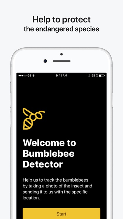 Bumblebee Detector