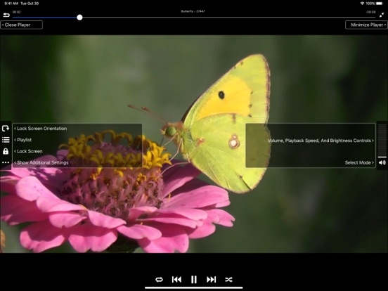 Video Manager Pro for Cloud iPad screenshot 5 - Photo & Video app