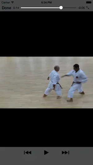 Nidan Grading Syllabus screenshot 4