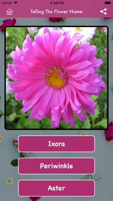 Telling The Flower Name screenshot 2