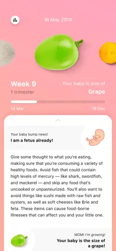 Captura de Pantalla 2 Embarazo: Semana A Semana iphone