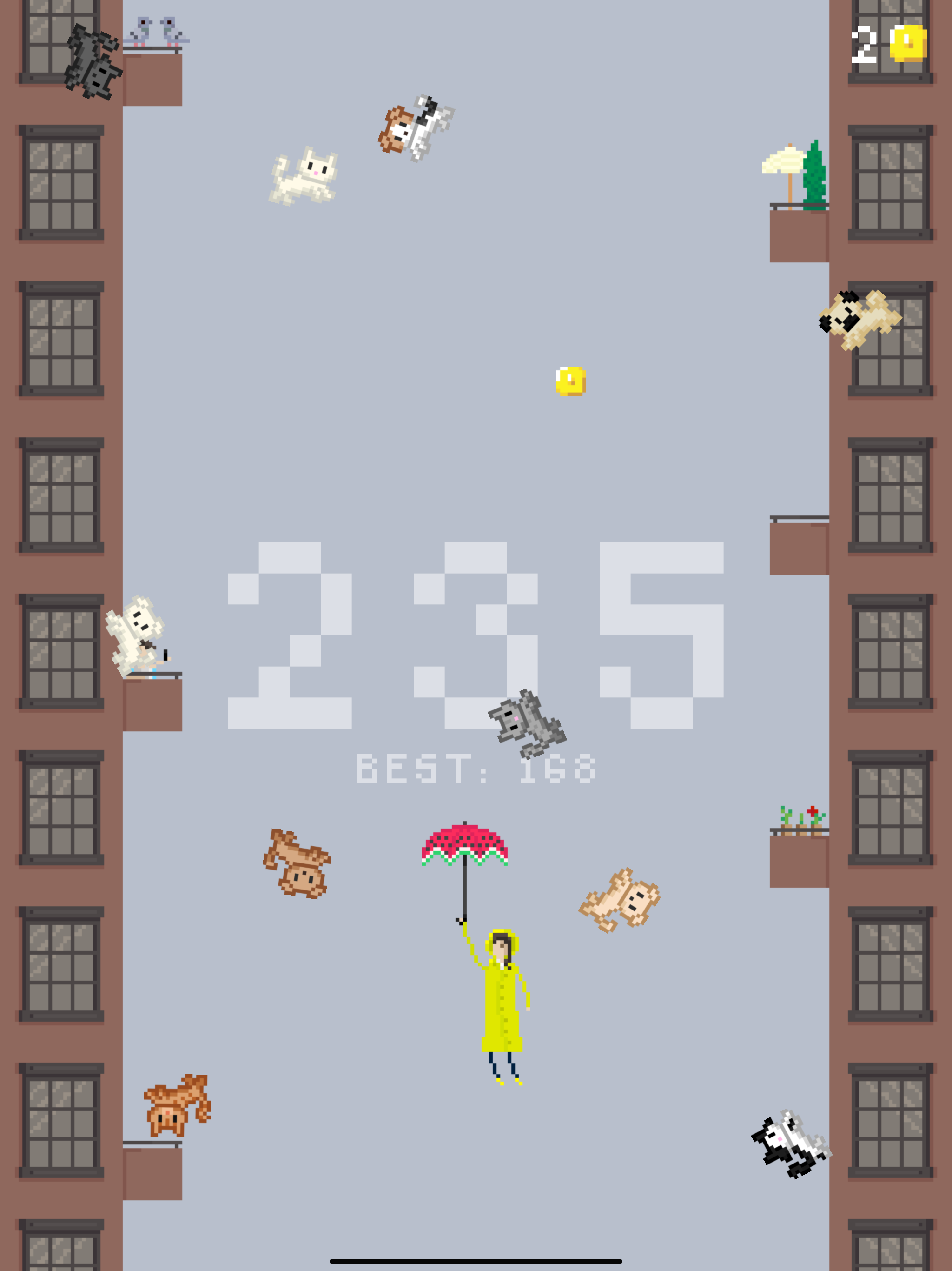 It's Raining Cats and Dogs