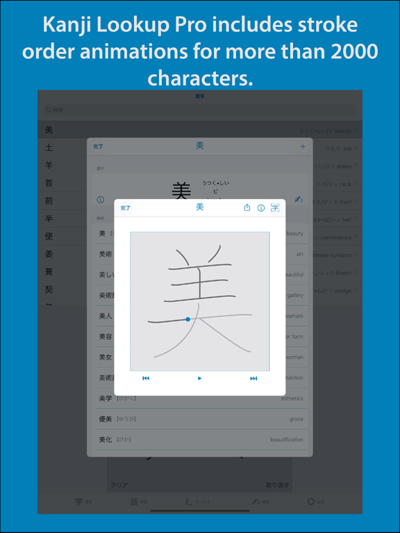 Kanji Lookup Pro iPad screenshot 5 - Reference app