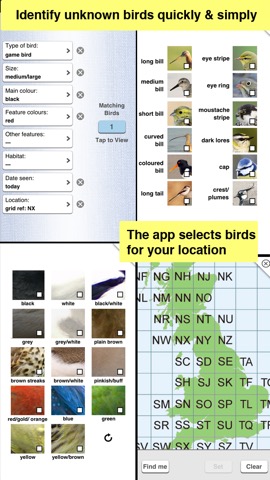 Birds of Britain Pocket Guideのおすすめ画像4