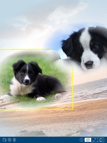 PhotoTangler Collage Makerのおすすめ画像1