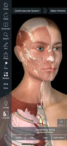 Game screenshot Essential Anatomy 5 apk
