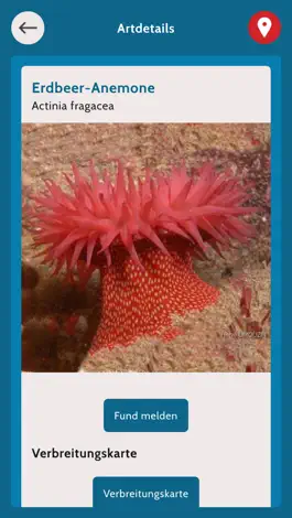 Game screenshot Beach Explorer apk