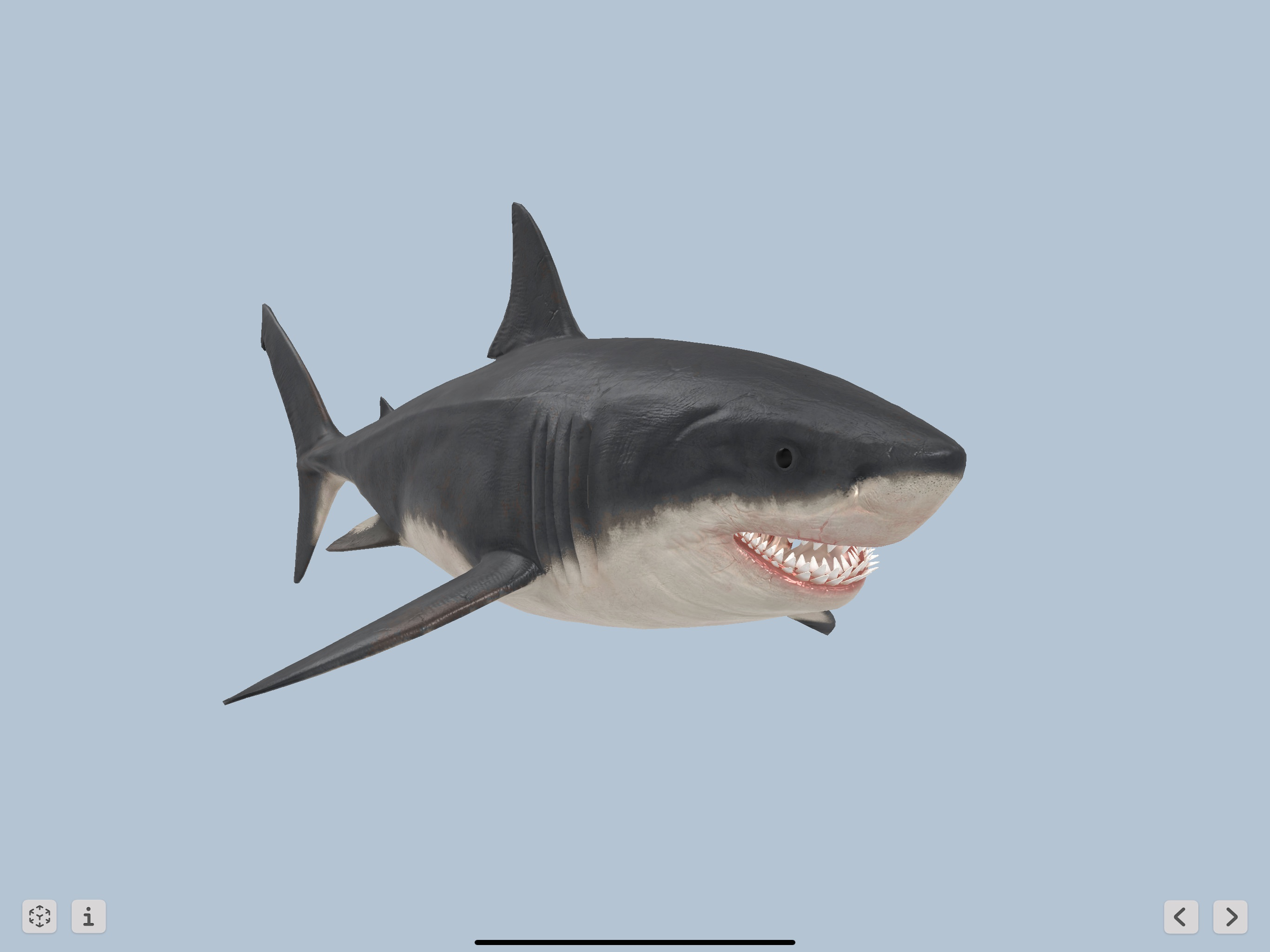 Megalodon screenshot 11