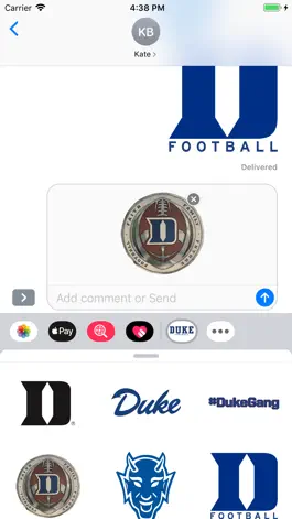 Game screenshot Duke Stickers hack