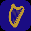 Bunreacht - Irish Constitution - Siderite