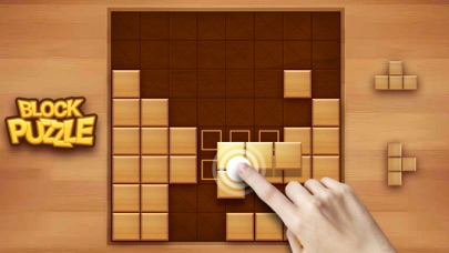 Block Puzzle Wood Screenshot