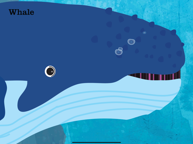 ‎Peek-a-Zoo Underwater Sounds Screenshot